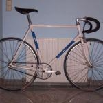 09,5 kg - Fixie Custom